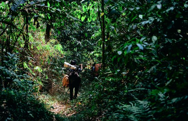 Nam Et-Phou Louey National Park